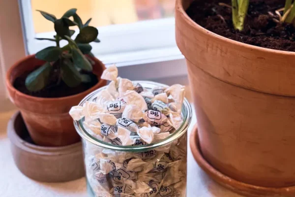 Billede af Skatteguiden bolcher i en skål. Symbol for gaveafgift.